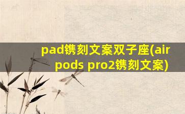 pad镌刻文案双子座(airpods pro2镌刻文案)